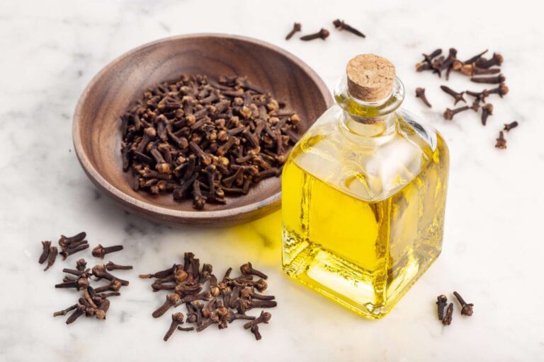 Benefits of Cloves Oil