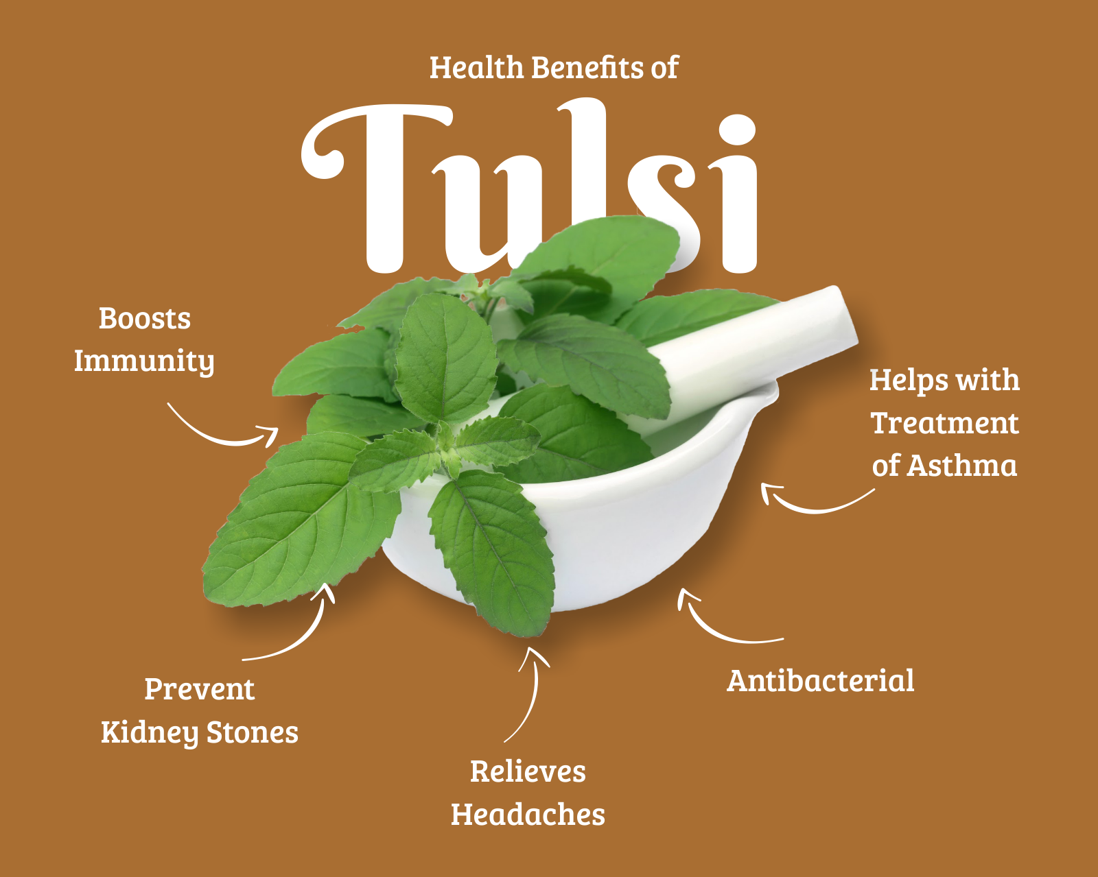 Top 17 Amazing Tulsi Benefits That Change your Health