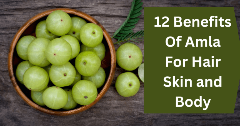 12 Science-Backed Health Benefits Of Amla